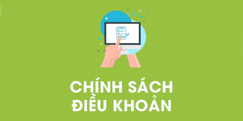 Thông tin sơ lược về chính sách & điều khoản