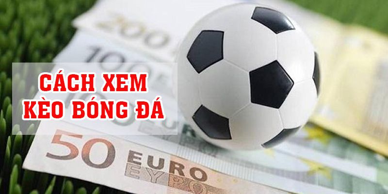 Kèo Bóng Đá | Cách Xem Kèo Bóng Đá Cho Người Mới Chuẩn Đến 99%