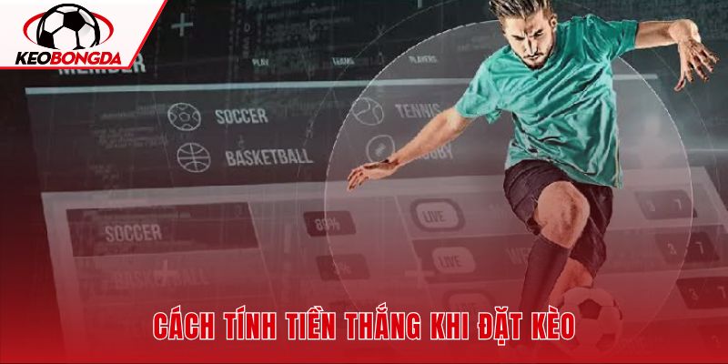 Kèo draw no bet cùng công thức tiền nhận về