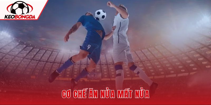 Kèo chấp 0.25 với cơ chế chia đôi vốn