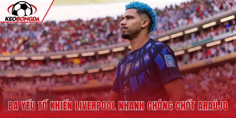 Khủng hoảng trung vệ và kinh nghiệm của Araújo thúc đẩy thương vụ